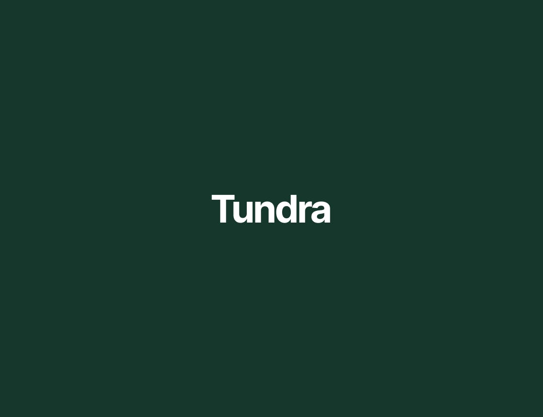 Tundra Digital Agency logo